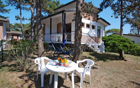Lignano Pineta 620: Plant, Sky, Building, Property, Window, Table, Nature, Tree, House, Land Lot