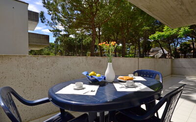 Accommodation:&nbsp;Parco Hemingway 701.37