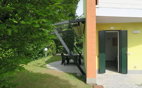 Begonie: Plant, Shade, Door, Building, Road Surface, Tree, Real Estate, Grass, Tints And Shades, Landscape