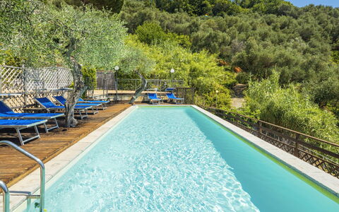 Moneglia 665: Water, Property, Plant, Swimming Pool, Nature, Azure, Blue, Tree, Botany, Natural Landscape
