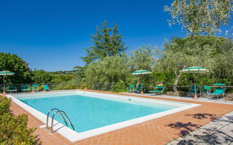 Casale Marittimo 607: Water, Sky, Property, Swimming Pool, Azure, Shade, Tree, Plant, Rectangle, Body Of Water