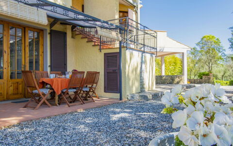 Casale Marittimo 607: Sky, Flower, Plant, Building, Property, Window, Chair, Door, House, Road Surface