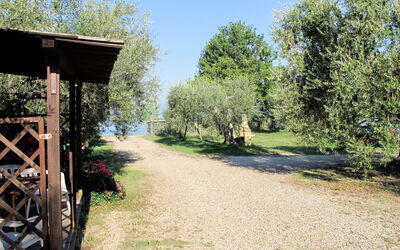 Lago Di Bolsena 657: Natural Landscape, Tree, Nature Reserve, Property, Grass, Botany, Landscape, Rural Area, Real Estate, Plant