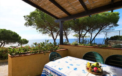 Accommodation:&nbsp;Oasis 1 630.2