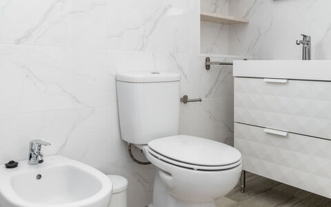 Avó Lucy: Plumbing Fixture, Toilet Seat, Property, Toilet, White, Product, Purple, Bathroom, Black, Bathroom Sink