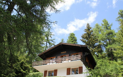 Chalet Soldanella (Bel205): Sky, Plant, Cloud, Tree, Natural Landscape, Wood, Window, Grass, House, Siding