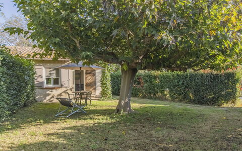 Fontenelle: Plant, Branch, Outdoor Bench, Tree, Grass, Window, Shade, Natural Landscape, Woody Plant, House