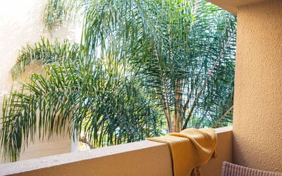 Accommodation:&nbsp;Mb2 sans Vue Mer 623.1