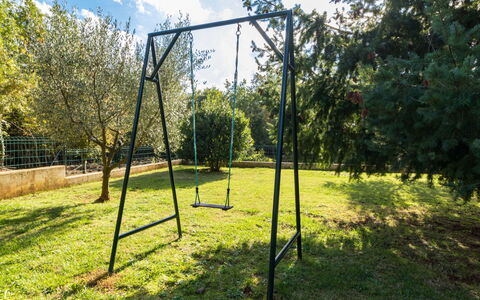Lara: Swing, Tree, Grass, Outdoor Play Equipment, Land Lot, Park, Plant, Playground, Meadow, Lawn