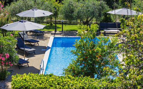Sandra: Swimming Pool, Resort, Garden, Outdoor Furniture, Umbrella, Sunlounger, Eco Hotel, Shade, Landscaping, Hacienda