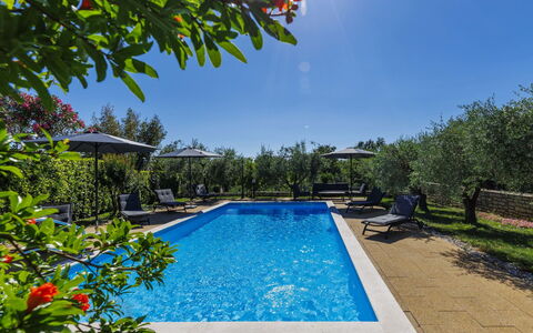 Sandra: Blue, Swimming Pool, Resort, Eco Hotel, Garden, Outdoor Furniture, Landscaping, Estate, Hacienda, Sunlounger
