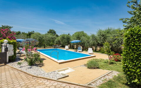 Sandra: Plant, Sky, Water, Building, Swimming Pool, Tree, Shade, Land Lot, Chair, Condominium