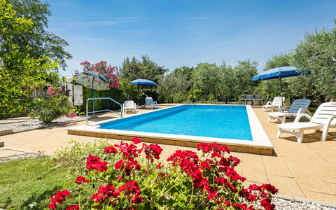 Sandra: Water, Flower, Sky, Plant, Property, Tree, Petal, Swimming Pool, Vegetation, Cloud
