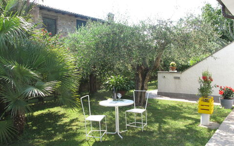 Mia: Sky, Plant, Furniture, Plant Community, Table, Chair, Building, Flowerpot, Outdoor Table, Window