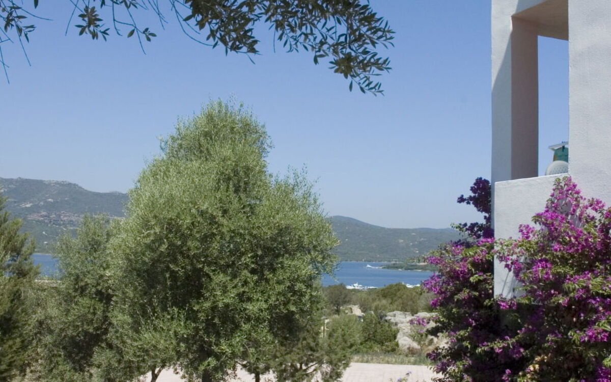 Accommodation:&nbsp;Stella Di Gallura 644.7