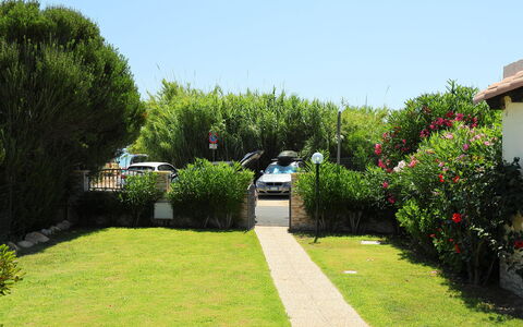 Mirto Marino (Rei410): Garden, Property, Lawn, Grass, Shrub, House, Yard, Tree, Real Estate, Botany