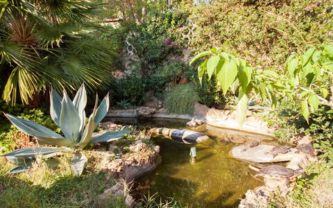 Capoliveri 674: Plant, Plant Community, Flower, Terrestrial Plant, Natural Landscape, Body Of Water, Water, Grass, Arecales, Shrub