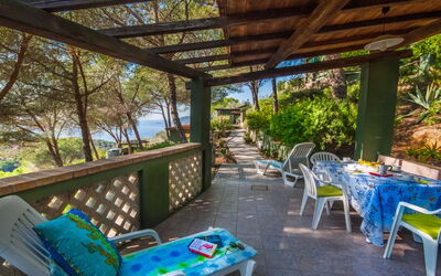 Capoliveri 674: Table, Furniture, Plant, Property, Blue, Azure, Outdoor Furniture, Shade, Tree, Interior Design