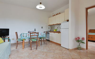 Campo Grande 643.1: Plant, Houseplant, Flowerpot, Wood, Interior Design, Floor, Flooring, Cabinetry, Living Room, Hardwood