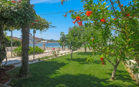 Lidija: Plant, Sky, Property, Flower, Water, Natural Landscape, Shade, Vegetation, Land Lot, Tree