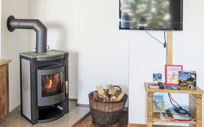 Daniel 685.2: Wood-Burning Stove, Wood Stain, Hardwood, Home Appliance, Natural Material, Hearth, Living Room, Daylighting