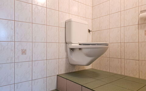 Zell am Ziller 685: Toilet Seat, Flooring, Toilet, Bathroom, Floor, Plumbing Fixture, Tile, Interior Design, Plumbing