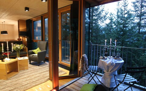 Kals am Großglockner 649: Property, Porch, Wood, Shade, Interior Design, Floor, Flooring, Tree, Building, Plant