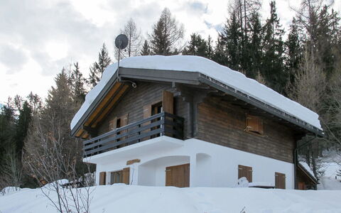 Edelweiss: Cloud, Sky, Plant, Snow, Tree, Slope, House, Window, Wood