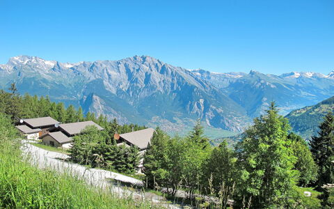 Edelweiss: Sky, Mountain, Plant, Ecoregion, Natural Landscape, Highland, Tree, Land Lot, Slope, Grass