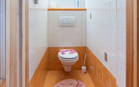 Karasova Ii: Toilet Seat, Flooring, Wall, Floor, Toilet, Bathroom, Plumbing Fixture, Interior Design, Tile, Plumbing