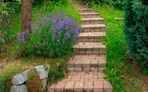 Karasova Ii: Plant, Property, Botany, Natural Landscape, Road Surface, Flower, Vegetation, Grass, Shrub, Landscape