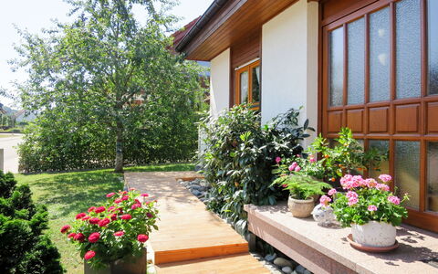 Land in Sicht: Flower, Plant, Building, Property, Window, Flowerpot, Houseplant, Botany, House, Sky