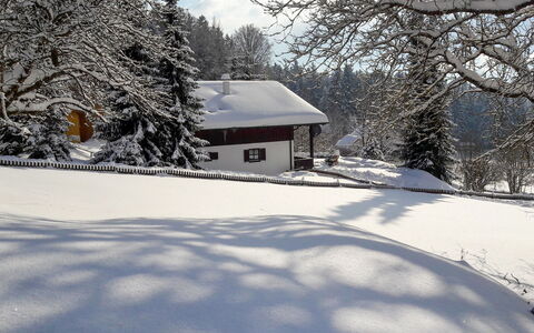 Mühlberg: Snow, Winter, Tree, Home, Freezing, Sky, House, Property, Branch, Frost