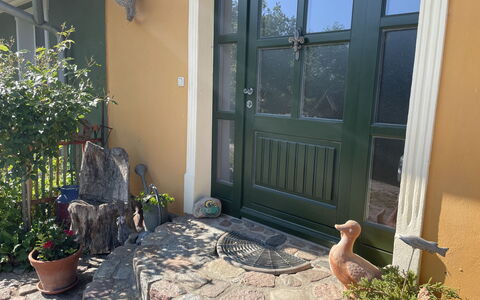 Tribbevitz: Plant, Property, Building, Door, Flowerpot, Window, Wood, Houseplant, House, Wall