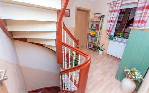Stangerode 638: Property, Plant, Shelf, Wood, Interior Design, Window, Flowerpot, Houseplant, Floor