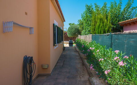 Frijoles: Flower, Plant, Building, Property, Sky, Tree, Road Surface, Window, Architecture, Land Lot