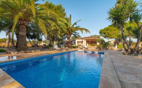 Morla: Water, Sky, Plant, Property, Swimming Pool, Azure, Tree, Body Of Water, Arecales, Leisure