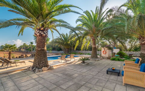 Morla: Sky, Plant, Property, Tree, Azure, Outdoor Furniture, Arecales, Body Of Water, Outdoor Bench, Terrestrial Plant