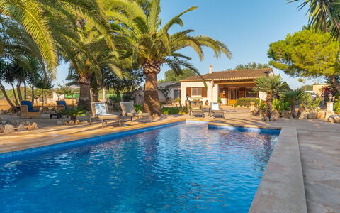 Morla: Water, Plant, Sky, Property, Building, Swimming Pool, Azure, Nature, Tree, Body Of Water