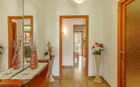 Can Damia: Plant, Mirror, Picture Frame, Houseplant, Flower, Wood, Building, Orange, Lighting, Door