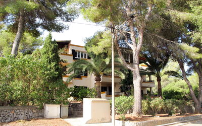 Cala Murada 615: Property, House, Vegetation, Residential Area, Real Estate, Home, Neighbourhood, Building, Tree, Architecture