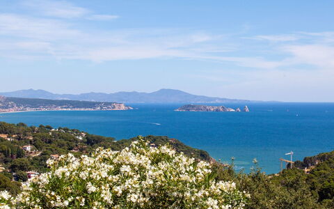 Xarmada Cecilia: Sky, Vegetation, Sea, Coast, Blue, Promontory, Headland, Azure, Coastal And Oceanic Landforms, Bay
