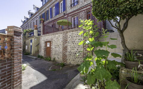 La Rose des Vents: Plant, Property, Building, Road Surface, Flowerpot, Window, Brickwork, Sky, Urban Design, Wall