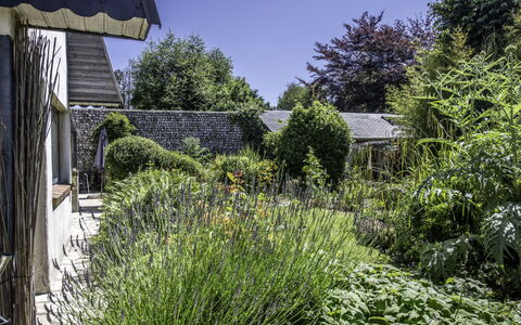 Entre Mer et Jardin: Plant, Property, Sky, Tree, Land Lot, Natural Landscape, Grass, Landscape, Woody Plant, Cottage