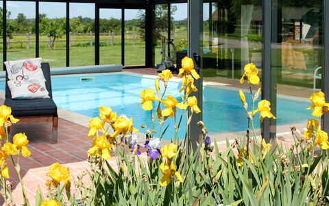 Corbon 601: Flower, Plant, Water, Botany, Yellow, Grass, Shade, Swimming Pool, Landscape, Petal