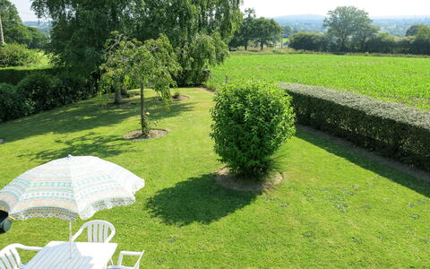 La Chevalerie: Grass, Property, Natural Landscape, Lawn, Tree, Shrub, Land Lot, Garden, Grass Family, Grassland