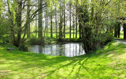 Savigny 608: Water, Plant, Green, Natural Landscape, Tree, Natural Environment, Body Of Water, Watercourse, Land Lot