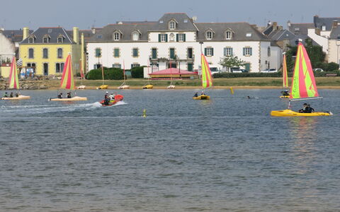 Raffinement, Confort et Vue Mer: Plant, Water, Property, Furniture, Building, Table, Window, Azure, Chair, Interior Design