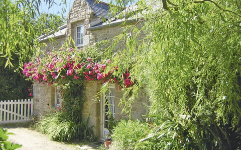 Keranna: Vegetation, Property, House, Cottage, Plant, Garden, Flower, Shrub, Tree, Botany