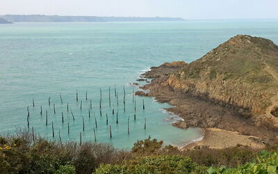 Les Falaises (Pha101)